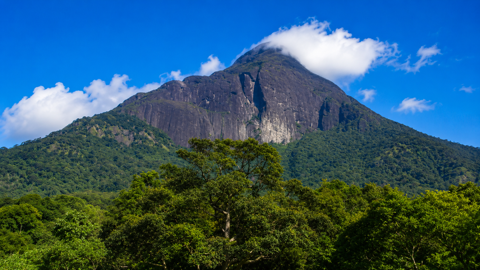 Agasthyarkoodam Trek