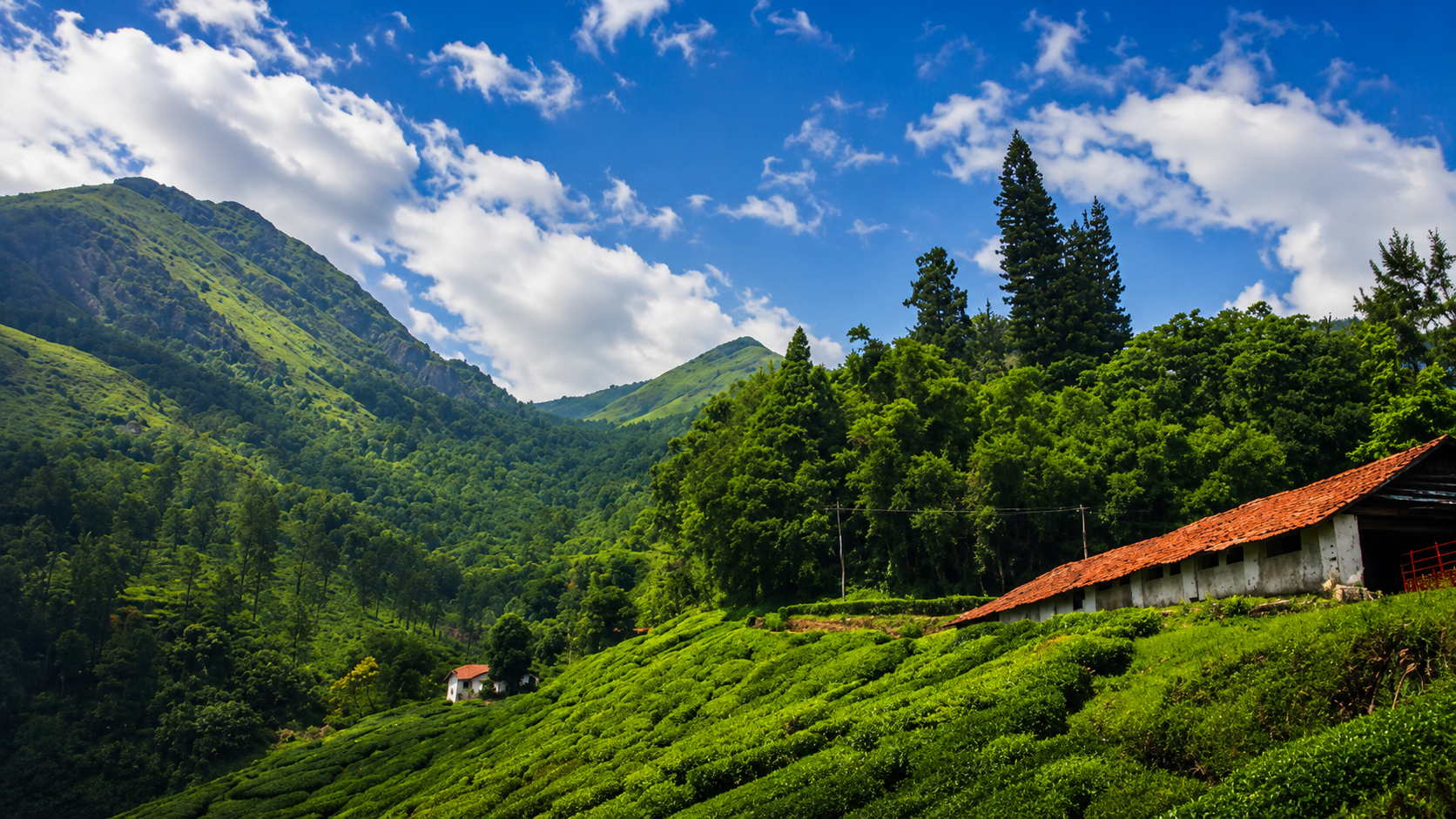 Chembra Peak Trek