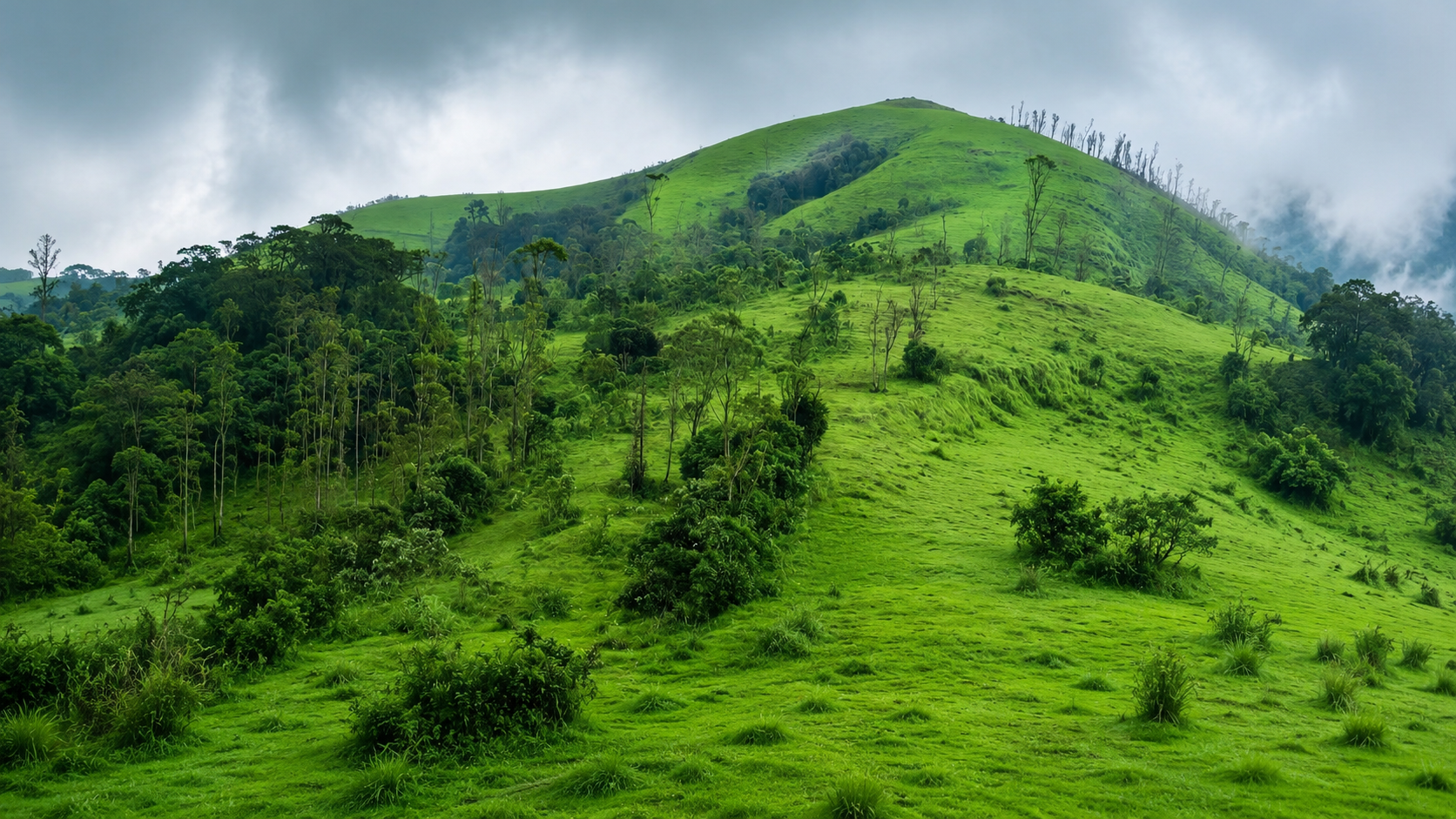 Gavi Kerala