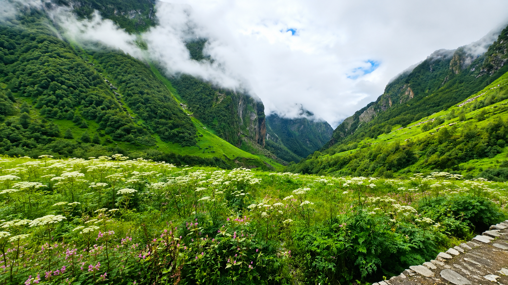 Valley of Flowers