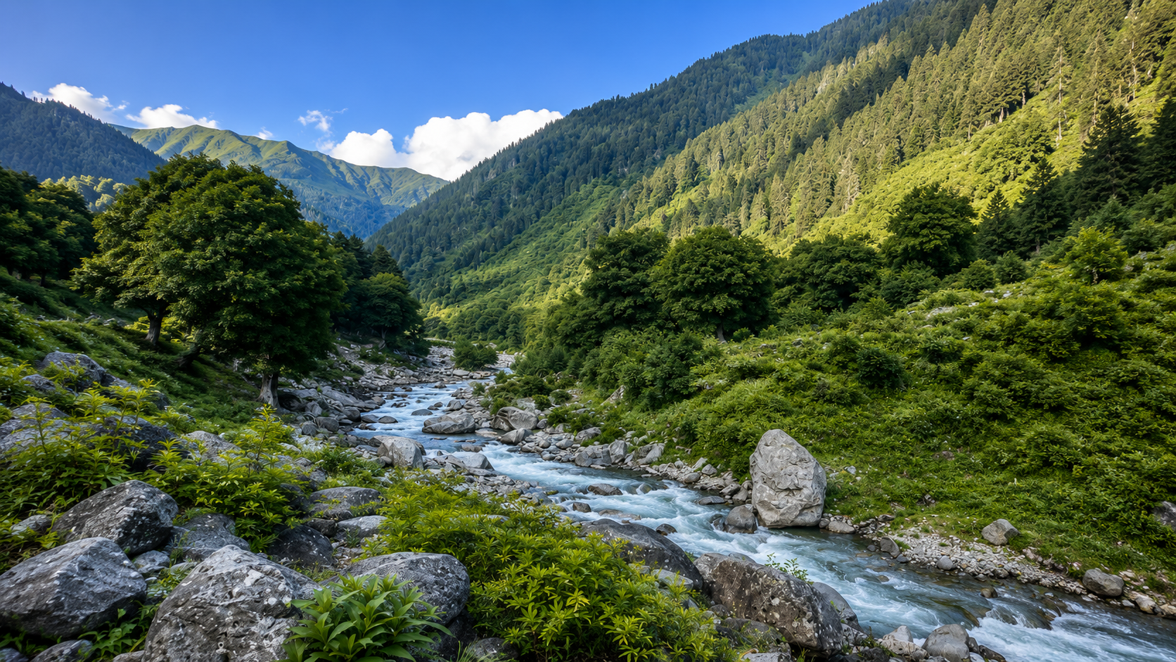 Naranag Gangabal Trek