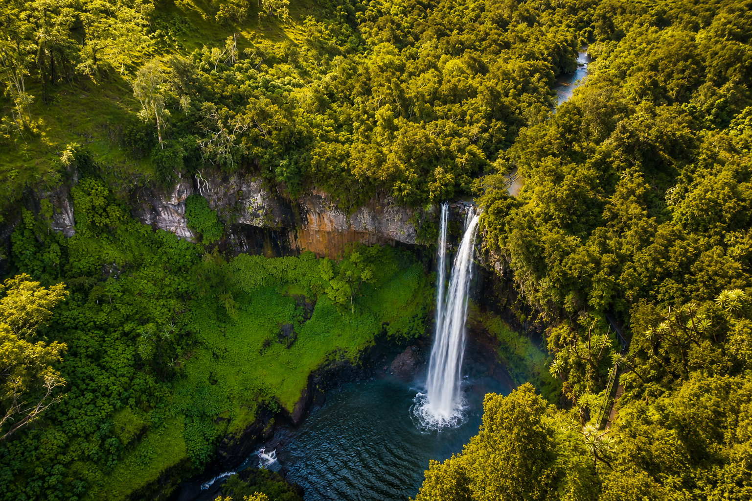 Forest and Waterfalls