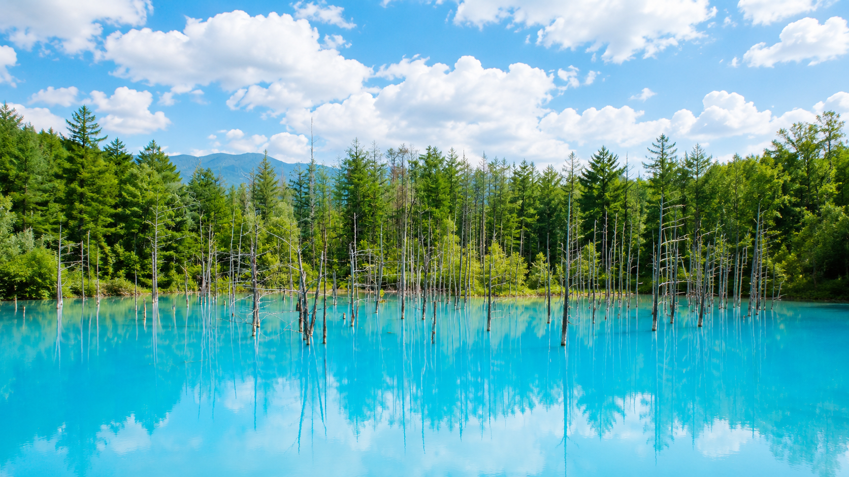 Hokkaido Nature Retreat