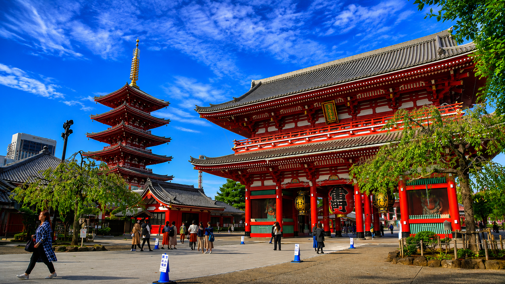 Tokyo Culture & Shopping Tour