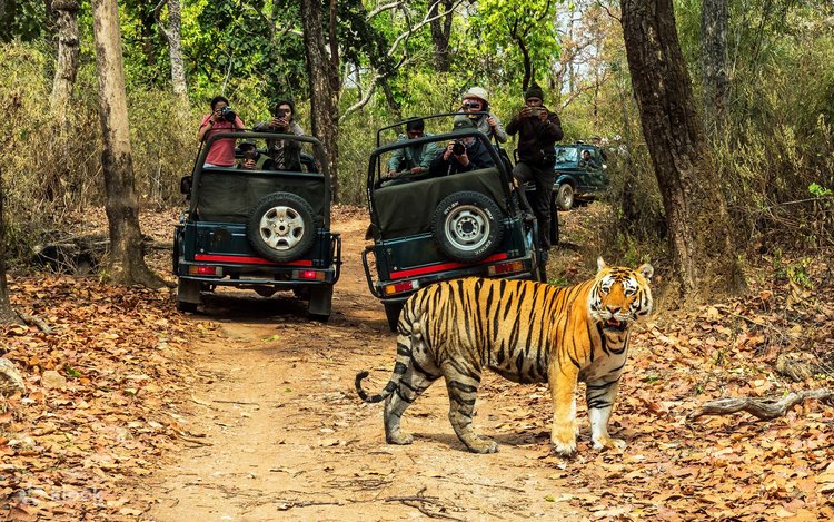 Chitwan