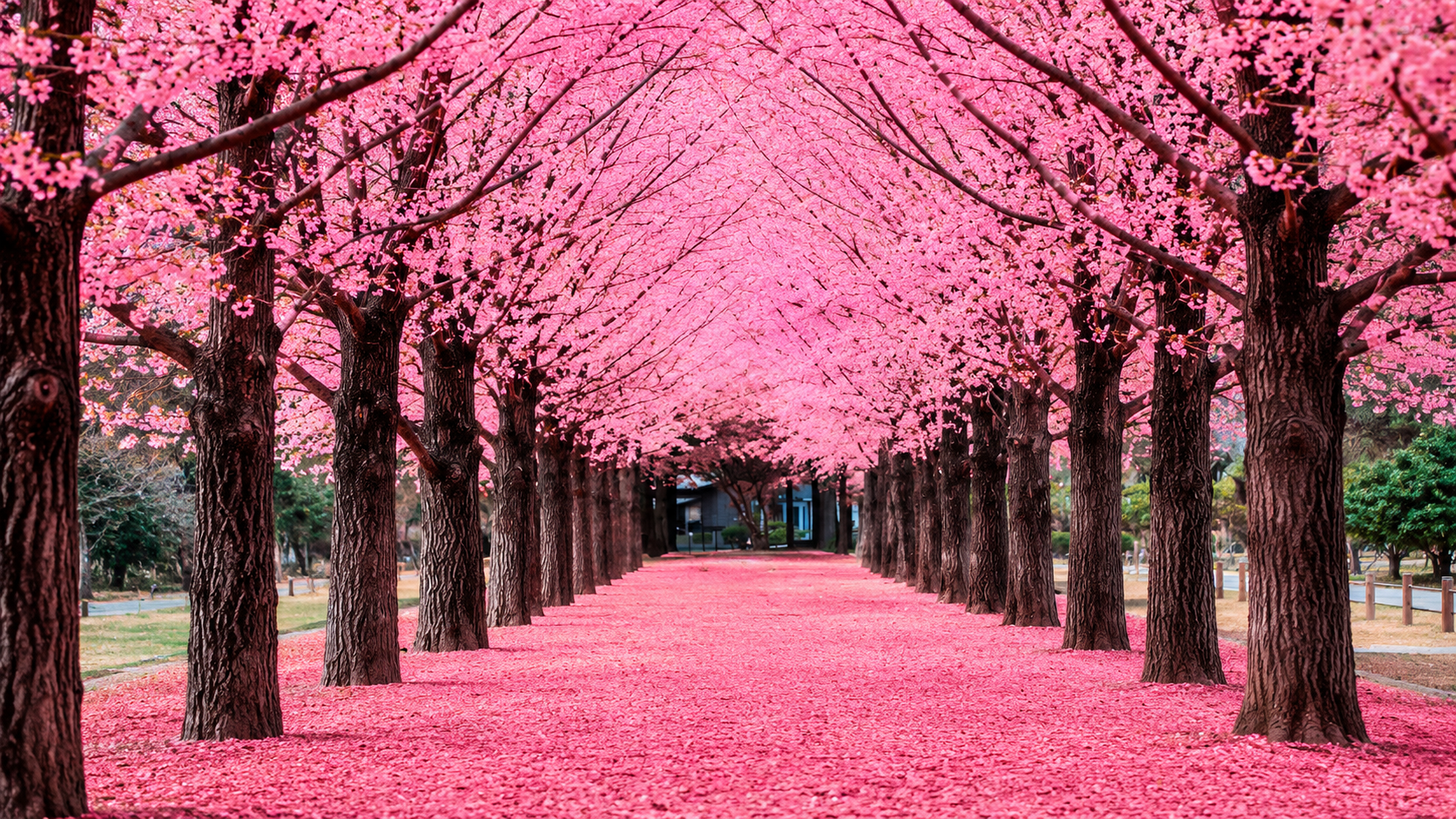 Nami Island