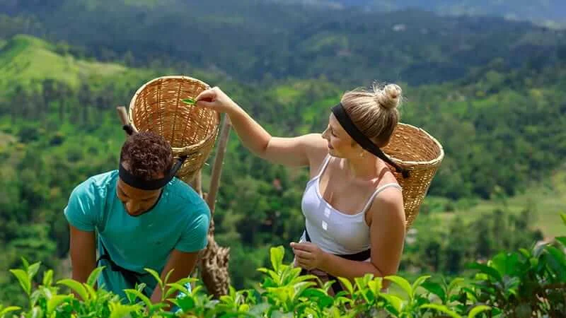 Nuwara Eliya