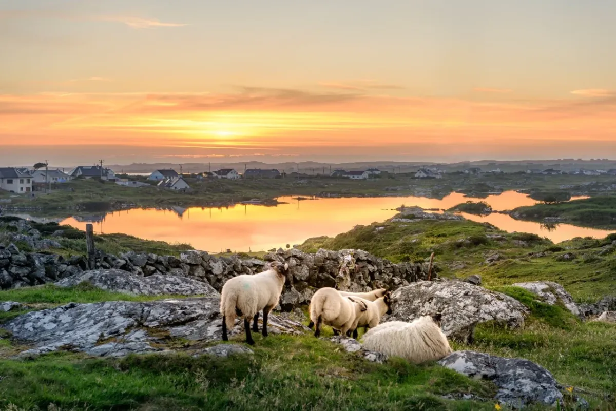 Killarney