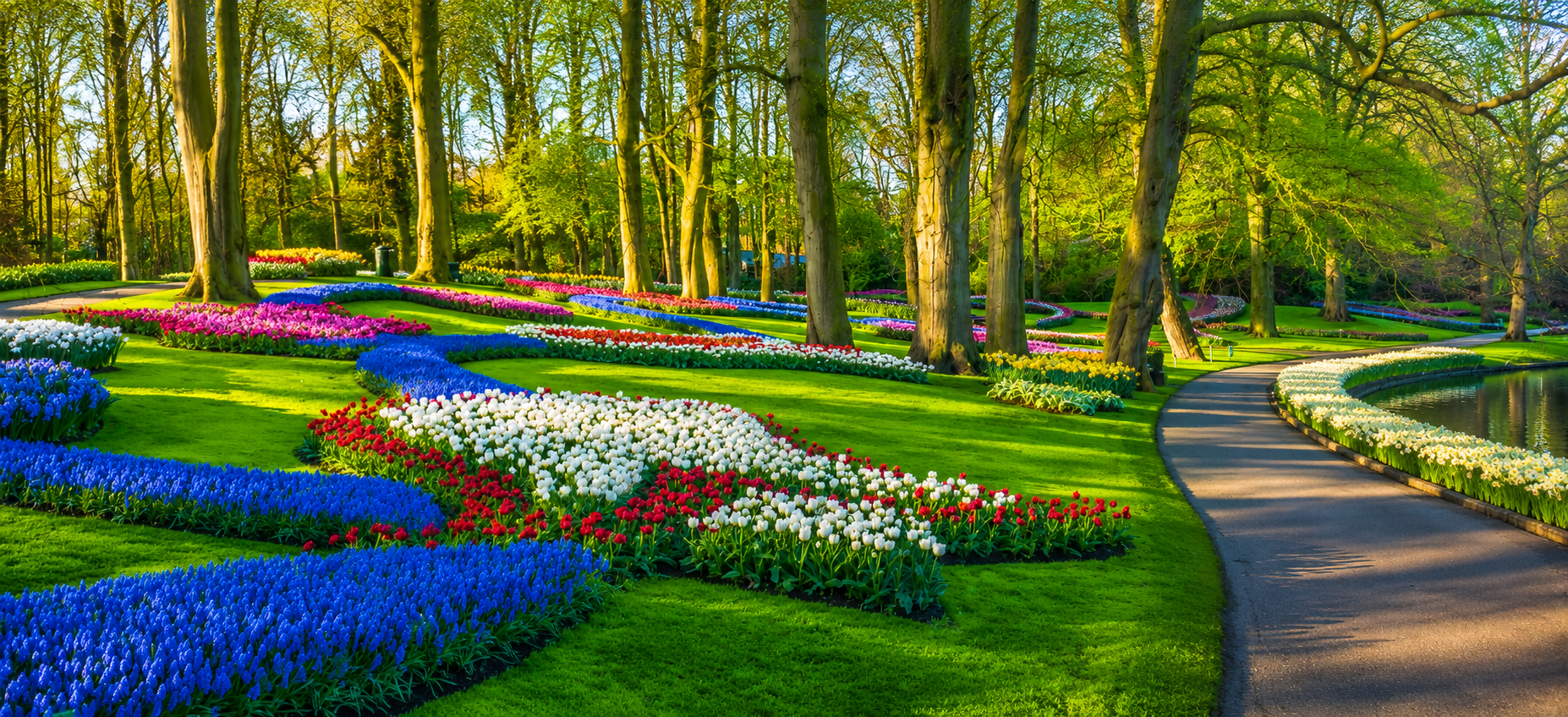 Keukenhof