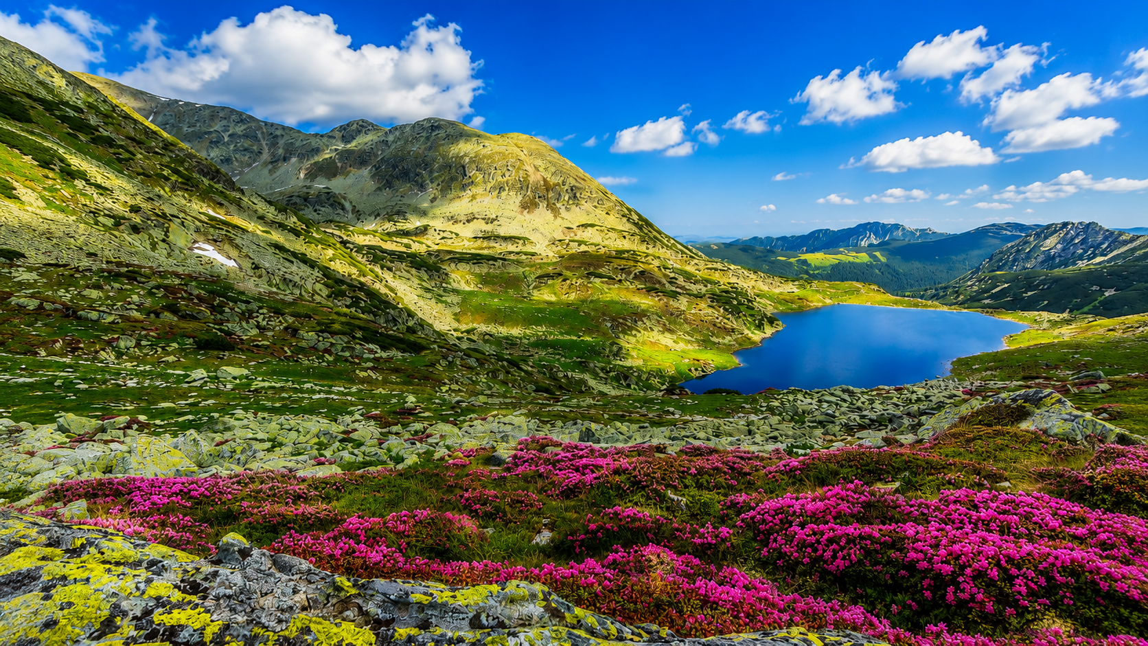 Carpathian Adventure