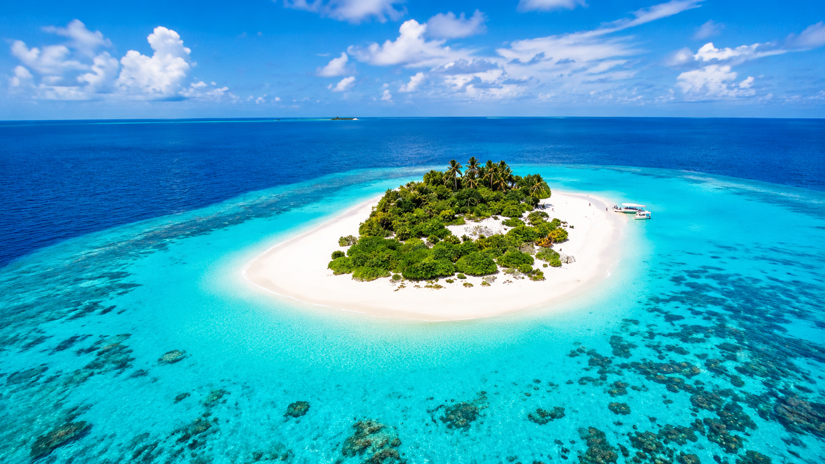 Ari Atoll Diving & Snorkeling Tour
