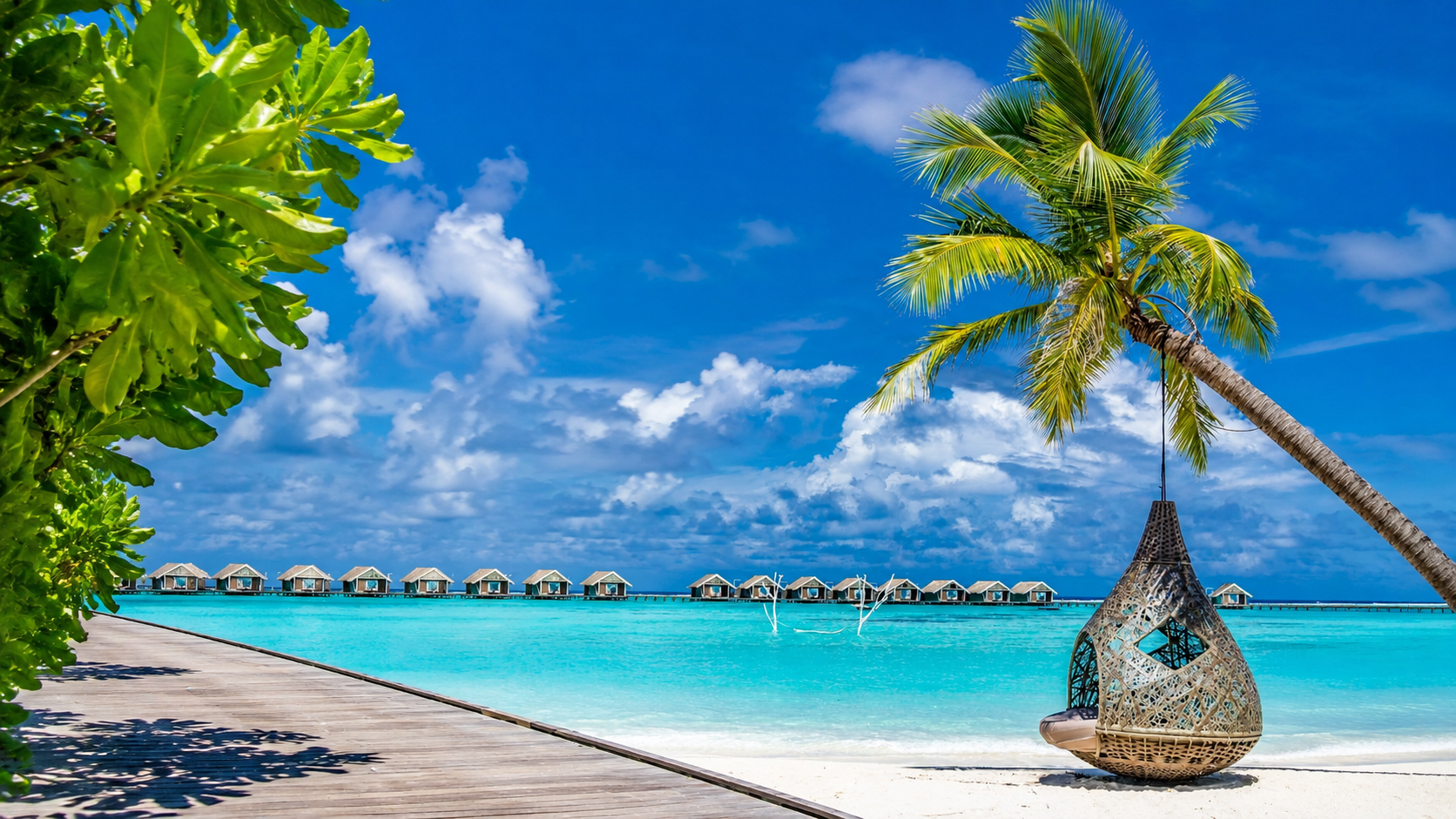 Whale Shark Discovery Package