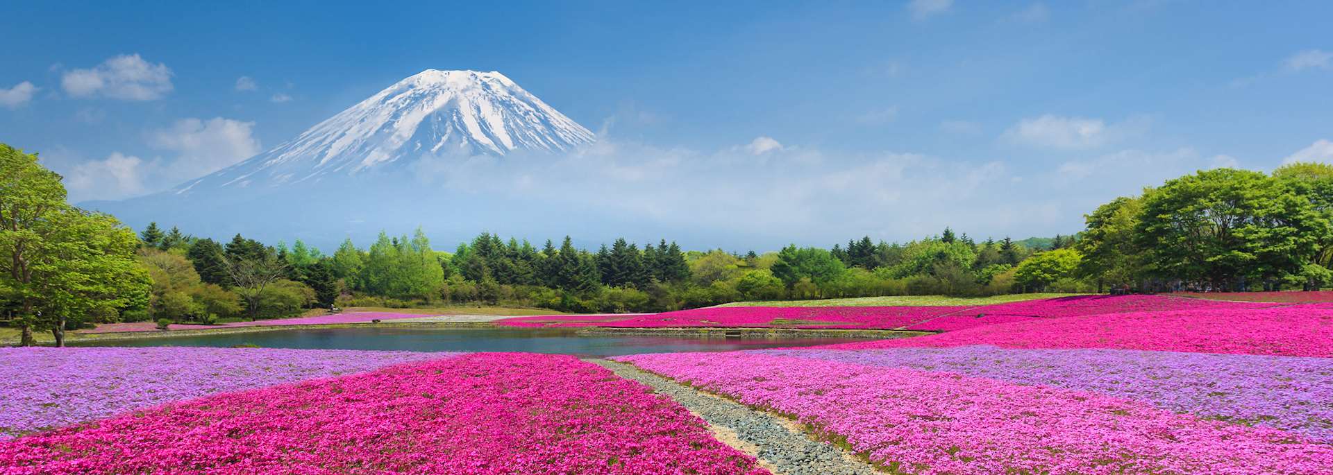 Mount Fuji