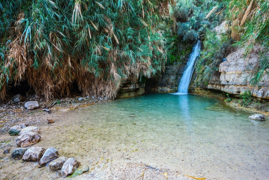 Dead Sea Luxury Retreat