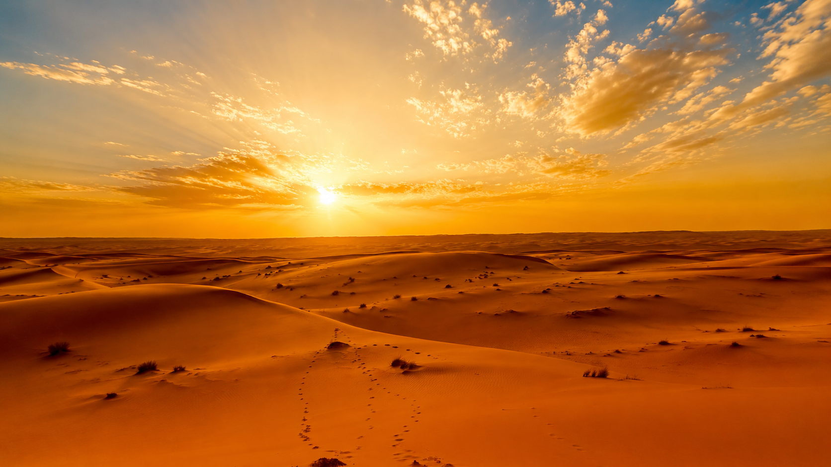 Wahiba Sands Desert Escape