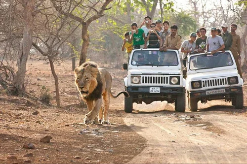 Kruger National Park