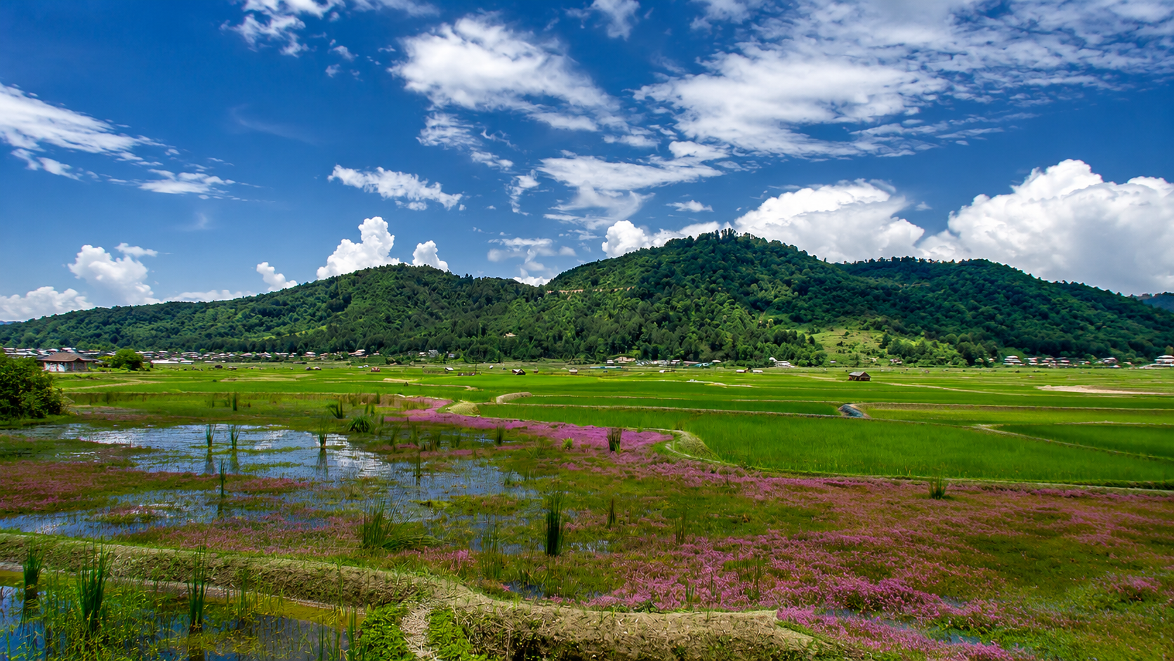 Ziro Valley