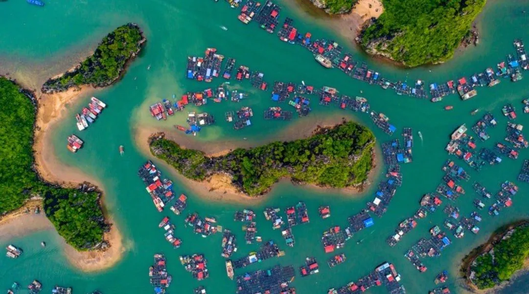 Majuli