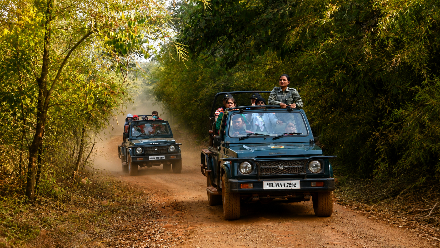 Jungle Adventure Tour