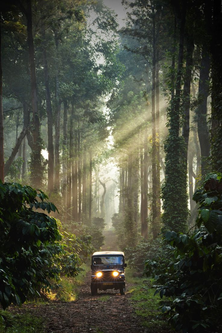 Coorg Package