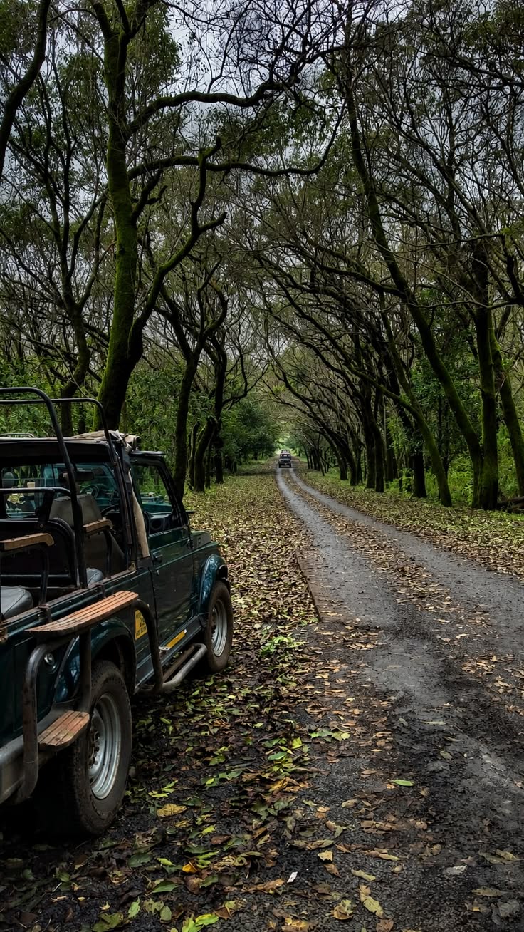 Pachmarhi Weekend Escape