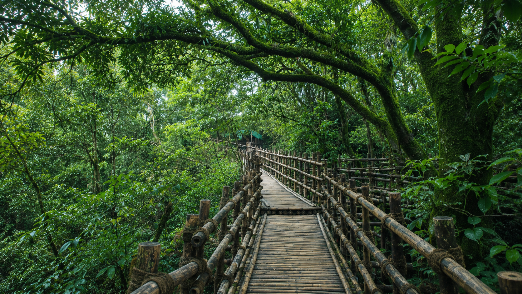 Meghalaya Monsoon Special
