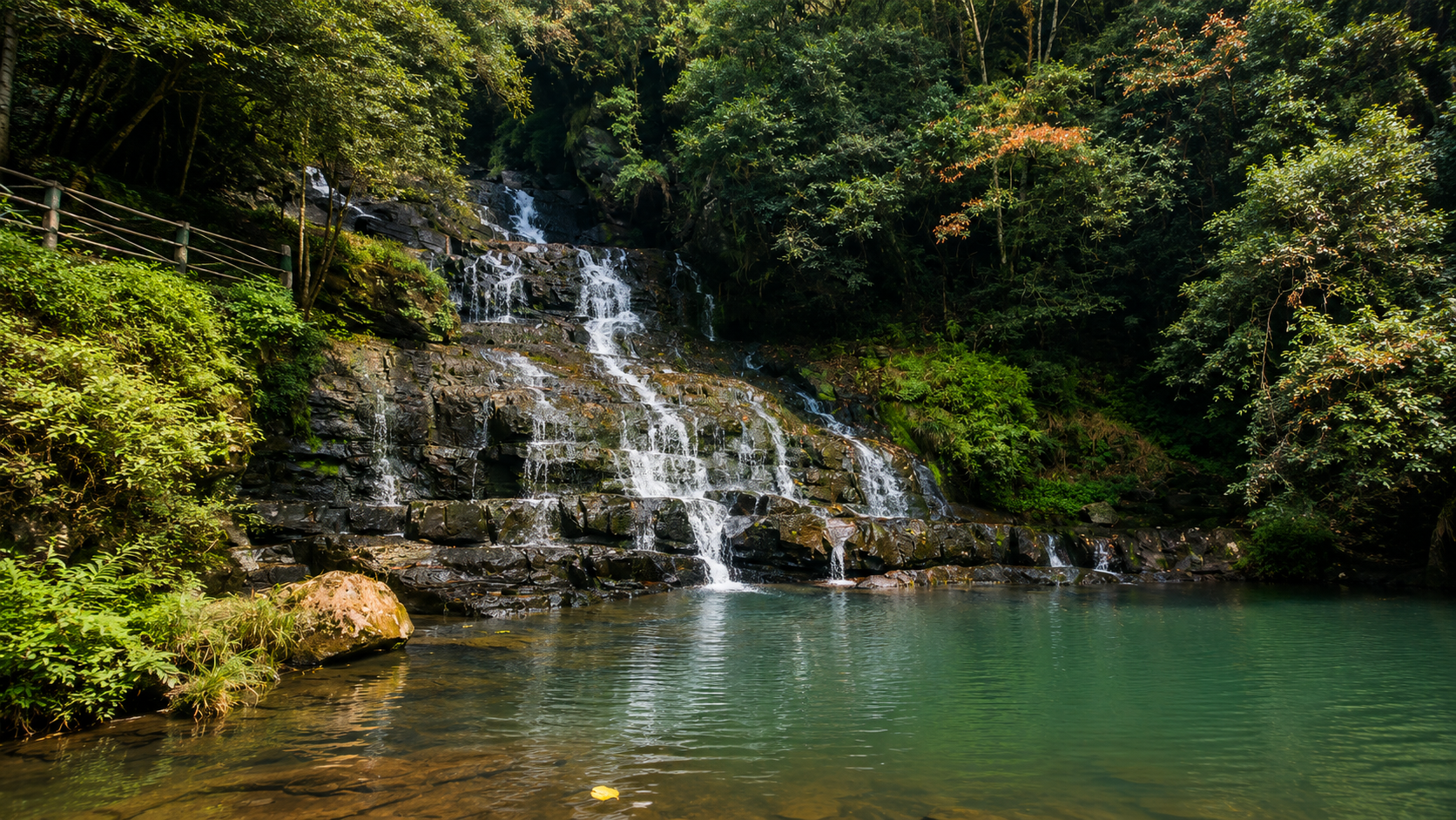 Shillong Nature Explorer