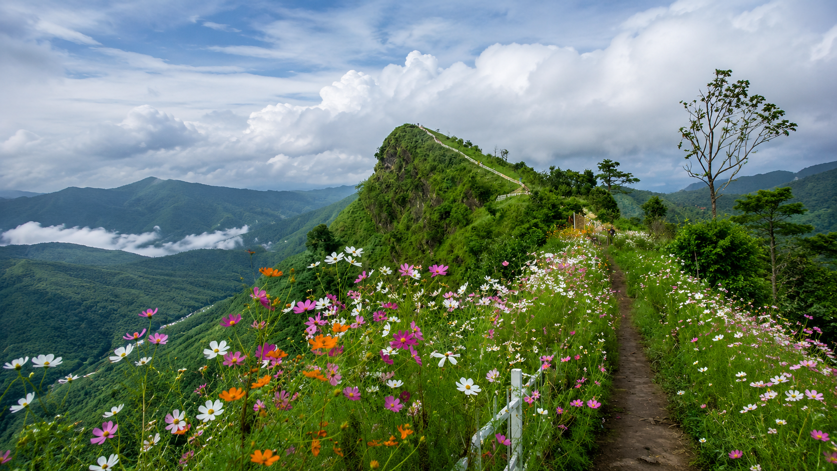 Champhai Vineyard Experience