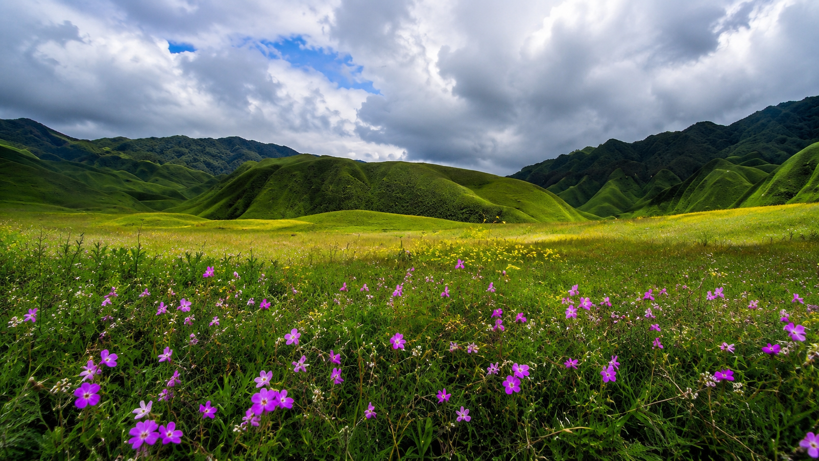 Nagaland Mountain Explorer