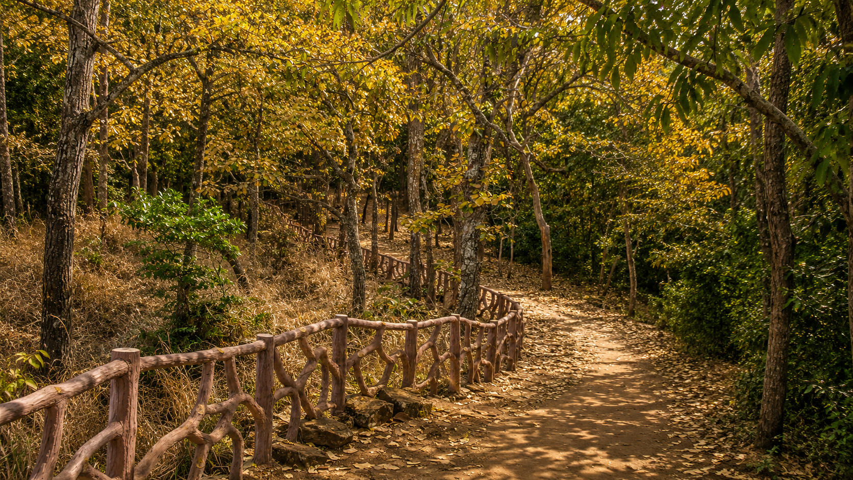 Simlipal Safari Tour
