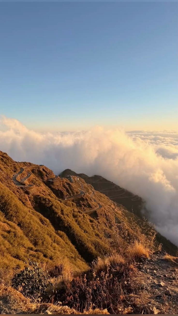 Gangtok Zuluk Lachung Pelling Tour