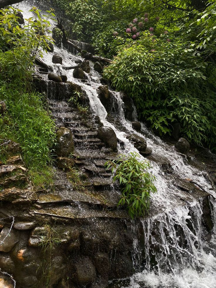 Mussoorie Dehradun Tour