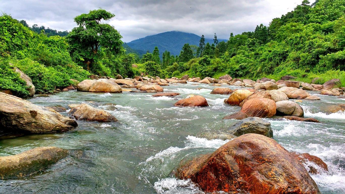 Dooars Kalimpong Tour