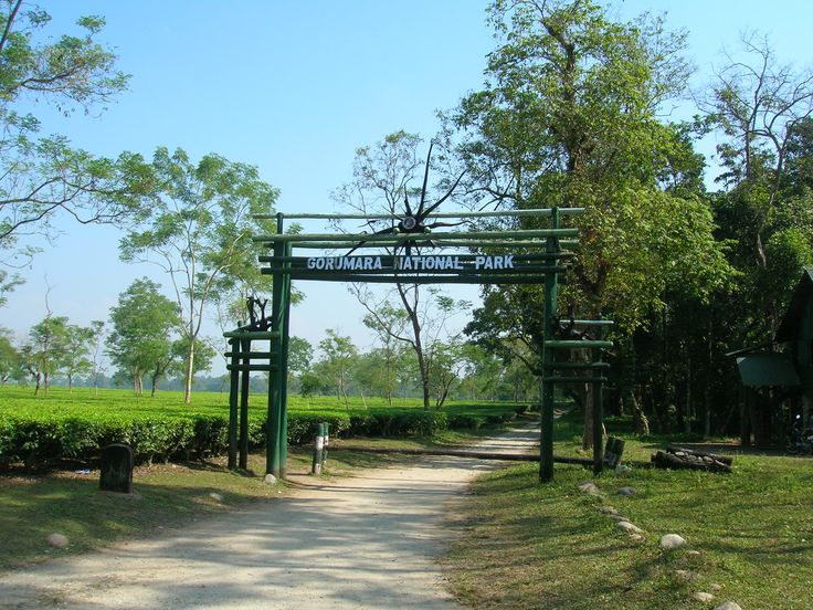 Dooars Jaldapara Tour